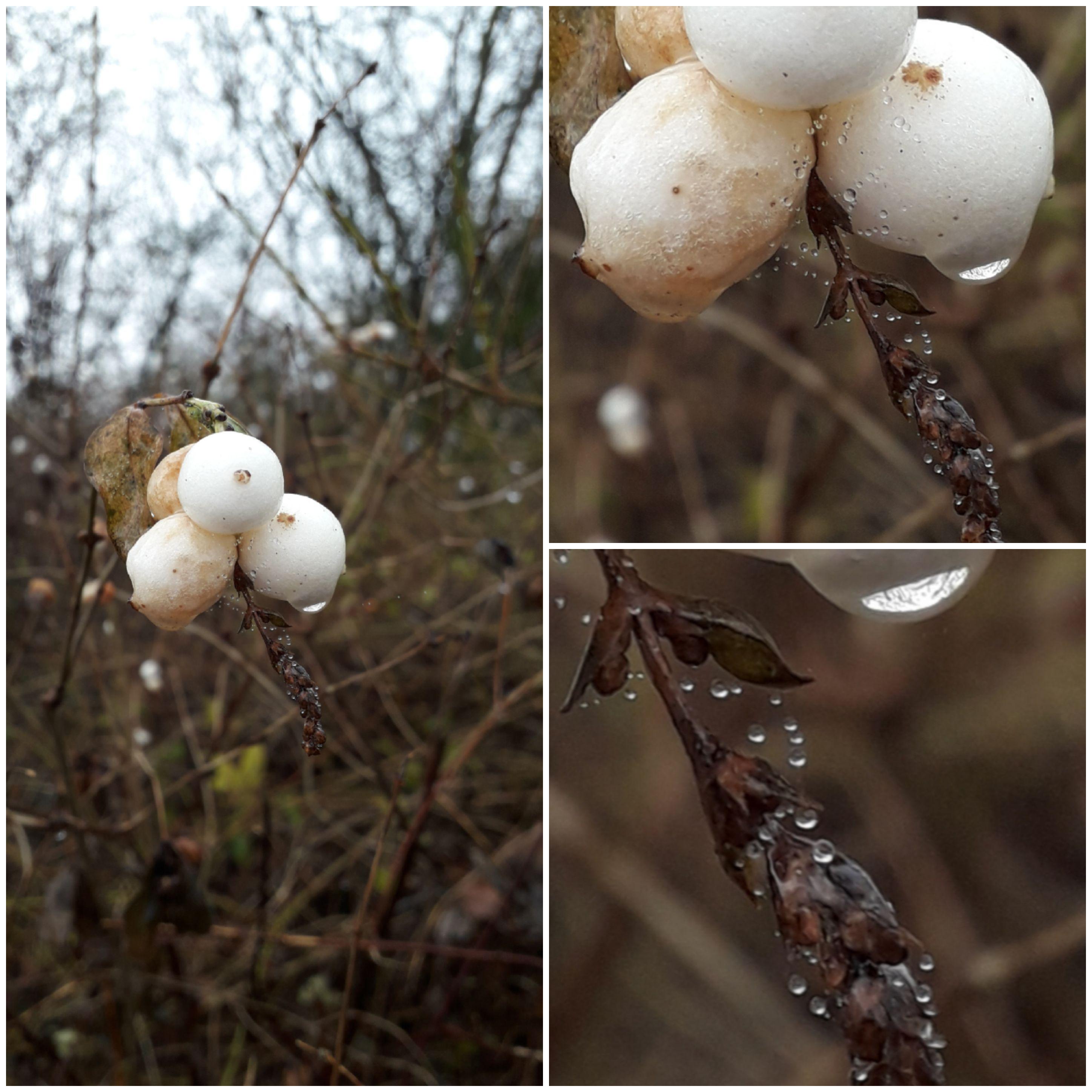 kunstwerk witte bolletjes