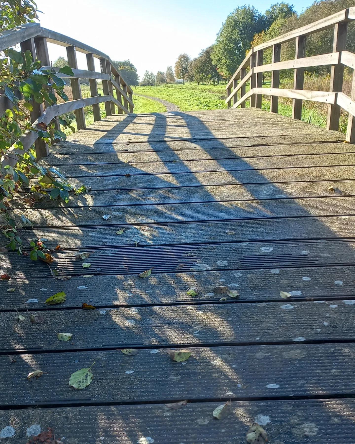 op de brug