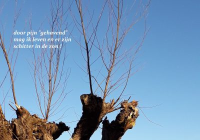 Lees meer over Wereldkankerdag van Anja de Jong