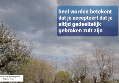 Lees meer over Heel worden. van Anja de Jong