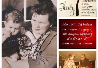 Lees meer over Wees van Anja de Jong
