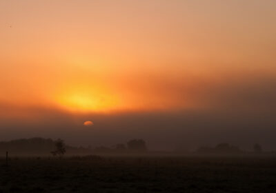Lees meer over Allerzielen van Anja de Jong