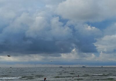 Lees meer over thuis aan zee van Anja de Jong